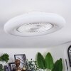 Benesal Plafoniera, Lampada con ventilatore LED Bianco, 1-Luce, Telecomando