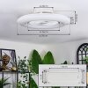 Benesal Plafoniera, Lampada con ventilatore LED Bianco, 1-Luce, Telecomando