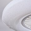 Benesal Plafoniera, Lampada con ventilatore LED Bianco, 1-Luce, Telecomando