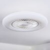 Benesal Plafoniera, Lampada con ventilatore LED Bianco, 1-Luce, Telecomando