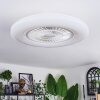 Benesal Plafoniera, Lampada con ventilatore LED Bianco, 1-Luce, Telecomando