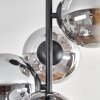 Gastor Plafoniera, Lampada a sfera Cromo, Chiaro, Grigio fumo, 4-Luci