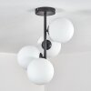 Gastor Plafoniera, Lampada a sfera Trasparente, 4-Luci