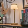 Algeraz Lampada da tavolo per esterno, Lampada da tavolo LED Beige, 1-Luce