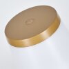 Algeraz Lampada da tavolo per esterno, Lampada da tavolo LED Beige, 1-Luce