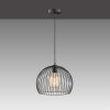 Fischer & Honsel Wire Lampadario a sospensione Nero, 1-Luce