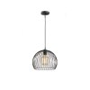 Fischer & Honsel Wire Lampadario a sospensione Nero, 1-Luce