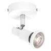 Illuminazione Ledvance Spot Plafoniera LED Bianco, 1-Luce