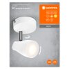 Illuminazione Ledvance Spot Plafoniera LED Bianco, 1-Luce