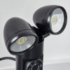 Plingshult Illuminazione esterna, Lampada a picchetto, Illuminazione viale LED Nero, 2-Luci