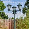 Loria Illuminazione esterna, Lampione multibraccia, Illuminazione viale Verde, Nero, 3-Luci