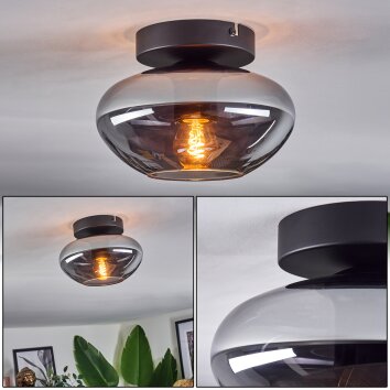 Mertola Plafoniera Grigio fumo, 1-Luce