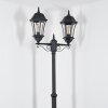 Etoe Illuminazione esterna, Lampione multibraccia, Illuminazione viale Nero, 2-Luci