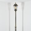 Etoe Illuminazione esterna, Lampione multibraccia, Illuminazione viale Oro, Nero, 1-Luce