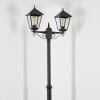 Anfei Illuminazione esterna, Lampione multibraccia, Illuminazione viale Nero, 2-Luci