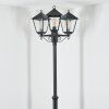 Anfei Illuminazione esterna, Lampione multibraccia, Illuminazione viale Nero, 3-Luci