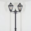 Falfosa Illuminazione esterna, Lampione multibraccia, Illuminazione viale Nero, 2-Luci