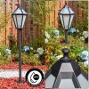 Falfosa Illuminazione esterna, Illuminazione viale Nero, 1-Luce