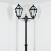 Falfosa Illuminazione esterna, Lampione multibraccia, Illuminazione viale Nero, 2-Luci