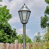 Falfosa Illuminazione esterna, Lampione multibraccia, Illuminazione viale Oro, Nero, 1-Luce