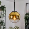 Gastor Lampadario a sospensione, Lampada a sfera 20 cm Oro, Chiaro, 1-Luce