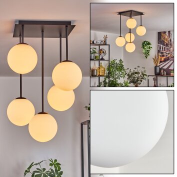 Gastor Plafoniera, Lampada a sfera Bianco, 5-Luci