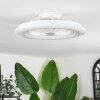 Benasal Plafoniera, Lampada con ventilatore Bianco, 1-Luce, Telecomando