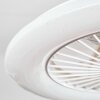 Benasal Plafoniera, Lampada con ventilatore Bianco, 1-Luce, Telecomando