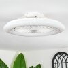 Benasal Plafoniera, Lampada con ventilatore Bianco, 1-Luce, Telecomando