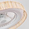 Benasal Plafoniera, Lampada con ventilatore Écru, Bianco, 1-Luce, Telecomando