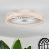 Benasal Plafoniera, Lampada con ventilatore Écru, Bianco, 1-Luce, Telecomando