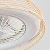 Benasal Plafoniera, Lampada con ventilatore Écru, Bianco, 1-Luce, Telecomando