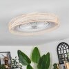 Benasal Plafoniera, Lampada con ventilatore Écru, Bianco, 1-Luce, Telecomando