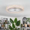 Benasal Plafoniera, Lampada con ventilatore Écru, Bianco, 1-Luce, Telecomando