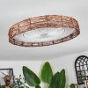 Benasal Plafoniera, Lampada con ventilatore Écru, Bianco, 1-Luce, Telecomando