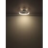 Illuminazione Globo Lighting Celeste Lampada con ventilatore LED Nero, 1-Luce, Telecomando