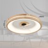 Illuminazione Globo Lighting Gatian Lampada con ventilatore LED Marrone scuro, Bianco, 1-Luce, Telecomando