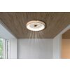 Illuminazione Globo Lighting Gatian Lampada con ventilatore LED Marrone scuro, Bianco, 1-Luce, Telecomando