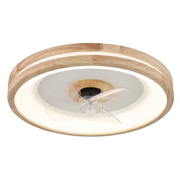 Illuminazione Globo Lighting Gatian Lampada con ventilatore LED Marrone scuro, Bianco, 1-Luce, Telecomando