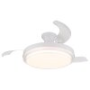 Illuminazione Globo Lighting Beliz Lampada con ventilatore LED Bianco, 1-Luce, Telecomando