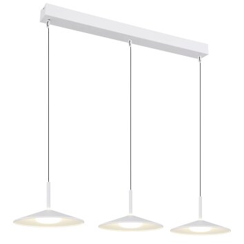 Illuminazione Globo Lighting Lampone Lampadario a sospensione LED Bianco, 1-Luce