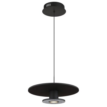 Illuminazione Globo Lighting Carter Lampadario a sospensione LED Nero, 1-Luce