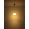 Illuminazione Globo Lighting Quintara Lampadario a sospensione LED Nichel opaco, 1-Luce