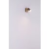 Illuminazione Globo Lighting Piper Illuminazione esterna Antracite, Nero, 1-Luce