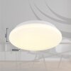 Illuminazione Globo Lighting Flarx Plafoniera LED Bianco, 1-Luce