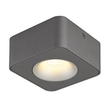 Illuminazione Globo Lighting Hangarau Plafoniera LED Grigio, 1-Luce