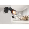 Illuminazione Globo Lighting Satella Plafoniera, Faretto da soffitto, Applique, Faretto da parete Nero, 1-Luce