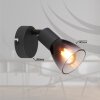 Illuminazione Globo Lighting Satella Plafoniera, Faretto da soffitto, Applique, Faretto da parete Nero, 1-Luce