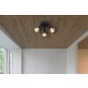 Illuminazione Globo Lighting Satella Plafoniera, Faretto da soffitto, Applique, Faretto da parete Nero, 3-Luci