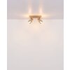 Illuminazione Globo Lighting Satella Plafoniera, Faretto da soffitto, Applique, Faretto da parete Marrone, Cromo, Nero, 2-Luci